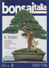Bonsai Italia. n. 31