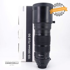 Sigma 120-300mm f/2.8 DG S