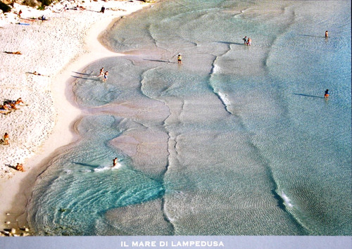 Cartolina collezione - cartolina,