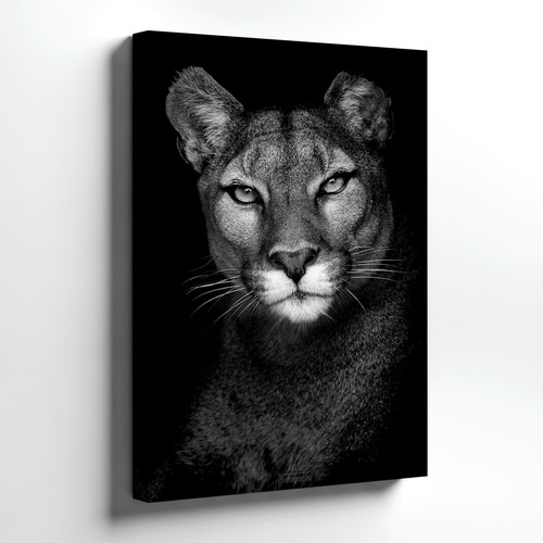 Wall art ritratto - ritratto, di