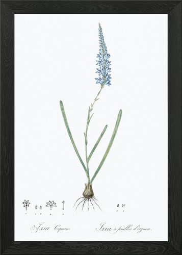 Quadro stampa poster arte - poster,