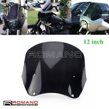 Parabrezza di ricambio 12" per