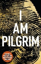 I Am Pilgrim by Hayes, Terry