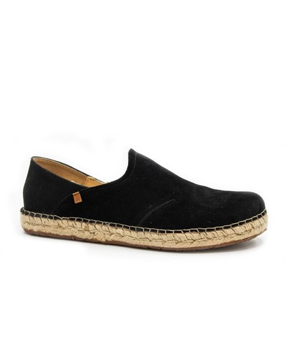 Naturalista campos n677 - campos,