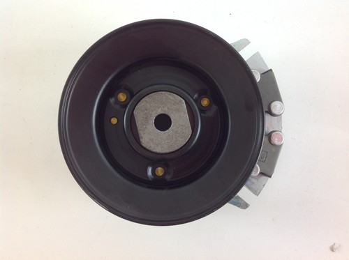 Frizione elettromagnetica