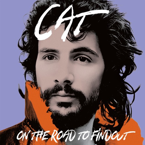 Yusuf cat stevens on - yusuf,