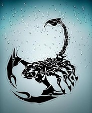 Adesivi adesivo tunning auto tribale tribali scorpione moto bomb sticker nero