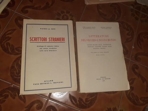 Letteratura straniera - letteratura,