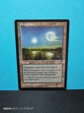 Everglades / Sumpfiges