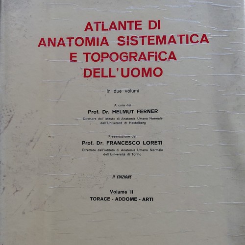 Piccin atlante anatomia uomo - piccin.,