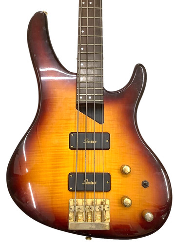 Washburn kip winger signature - kip,