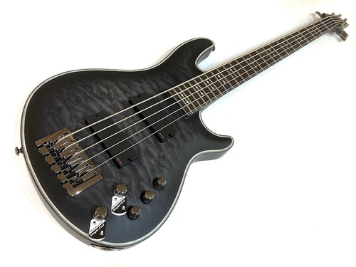 Schecter hellraiser extreme - schecter,