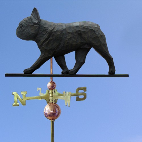 Bulldog francese mano - francese,