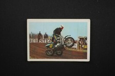 * FKS Wonderful World Of