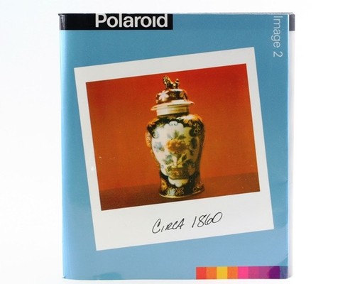 Manuale istruzioni polaroid - di,