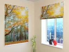 tenda a pacchetto ARREDALACASA nella foresta soleggiata MISURE PERSONALIZZABILI