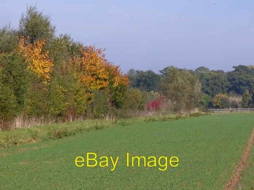 Photo 6x4 north oak - photo,