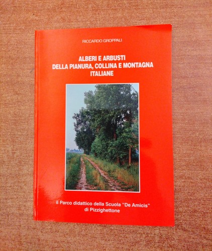 Alberi arbusti della pianura - e,