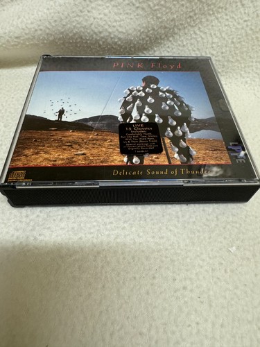 Delicate sound thunder - of,