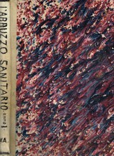 L'Abruzzo sanitario. Giornale