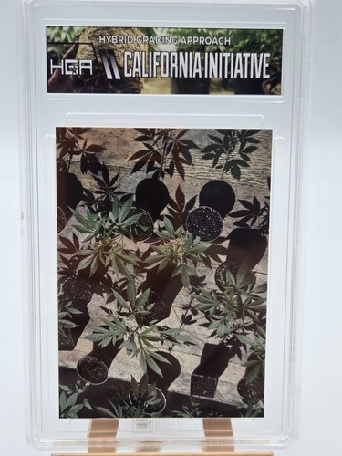Carte personalizzate slab - carte,