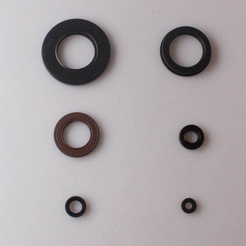 Set paraolio motore - per, yamaha