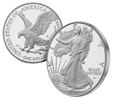 2025-S American Silver Eagle 1