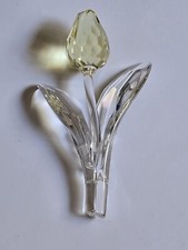 SWAROVSKI #657335 Tulipano