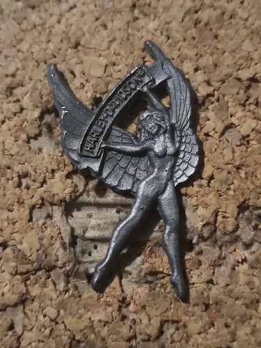 Pin moto motor - pin's,