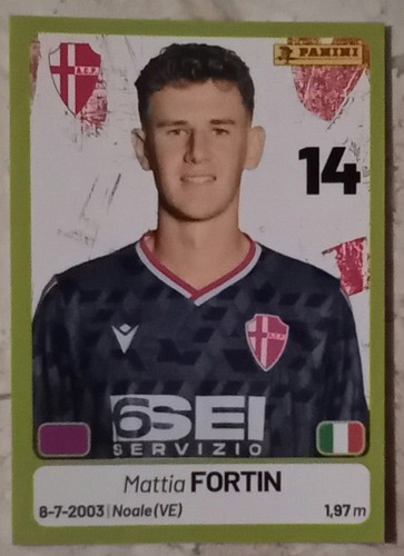 Figurina calciatori panini - figurina,