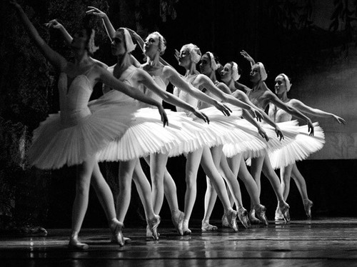 Quadro ballerine danza - quadro,