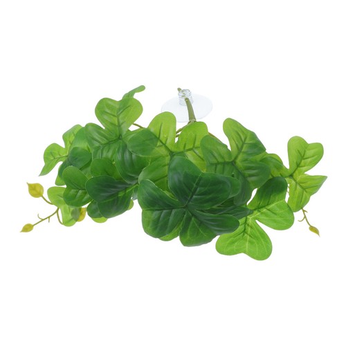 Piante per rettili verde - piante,