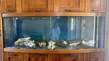 Acquario 800 litri - 800,