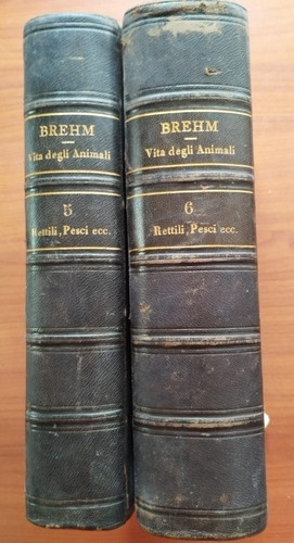 Vita degli animali vol - degli,