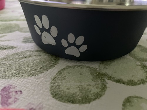Ciotola acciaio cane gatto - acciaio,