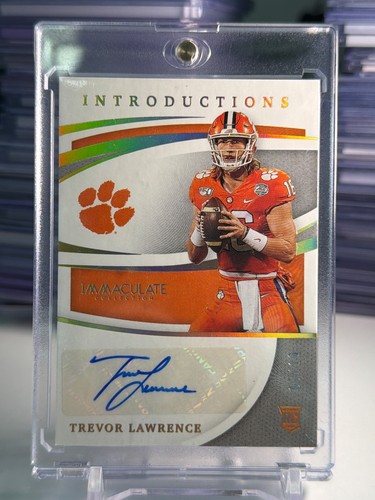 2021 panini immacolata - 2021,