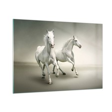 Quadro su Vetro 100x70cm