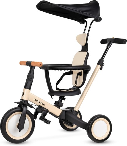 Triciclo 1 anno con - 6,