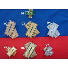 Alamari Mostrine Camicia Guardie Giurate Guardia GG 3D Vigilanza GPG IPS Coppia