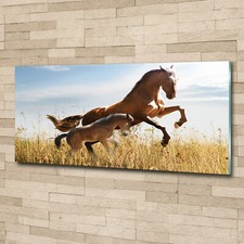 Quadro immagine arte - , da