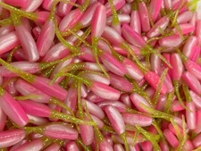 100 pk 2" Pinky Shad Stinger