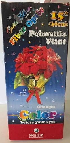 Pianta poinsettia fibra - pianta,