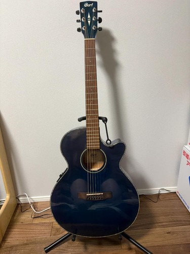 Chitarra acustica elettrica