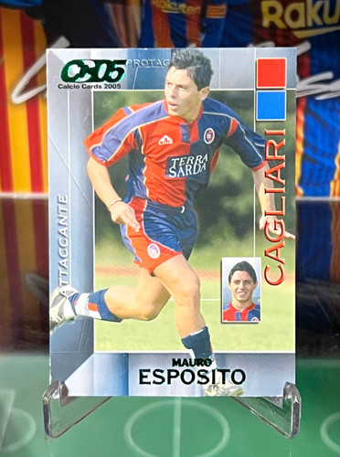 2005 panini calcio cards - 2005,