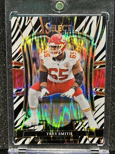2025 panini select - panini, zebra