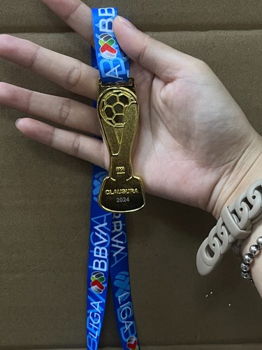 Medaglia calcio campioni - medaglia, 2024