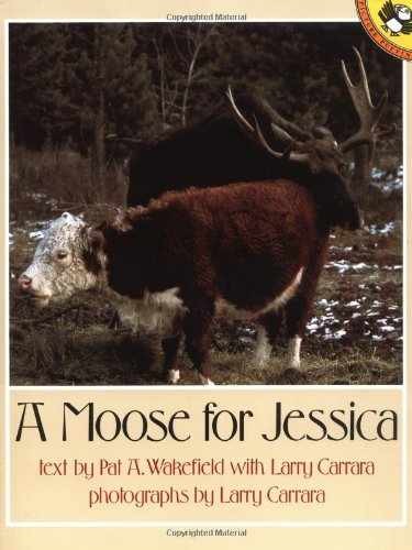 Moose for jessica picture - moose, (picture