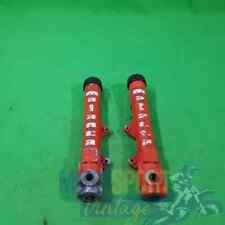 GAMBALI FORCELLA PAIOLI MALANCA EPOCA