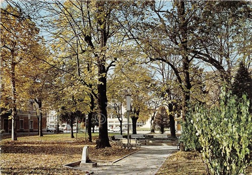 Cartolina fiorenzuola d arda - -,