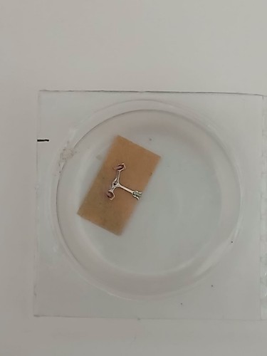 Rolex 1530 1570 7846 ancora - rolex, 1530-1570-7846-ancora